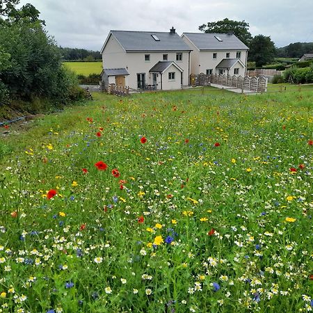 Family Country Cottage With Stunning Mountain Views Myddfai Extérieur photo