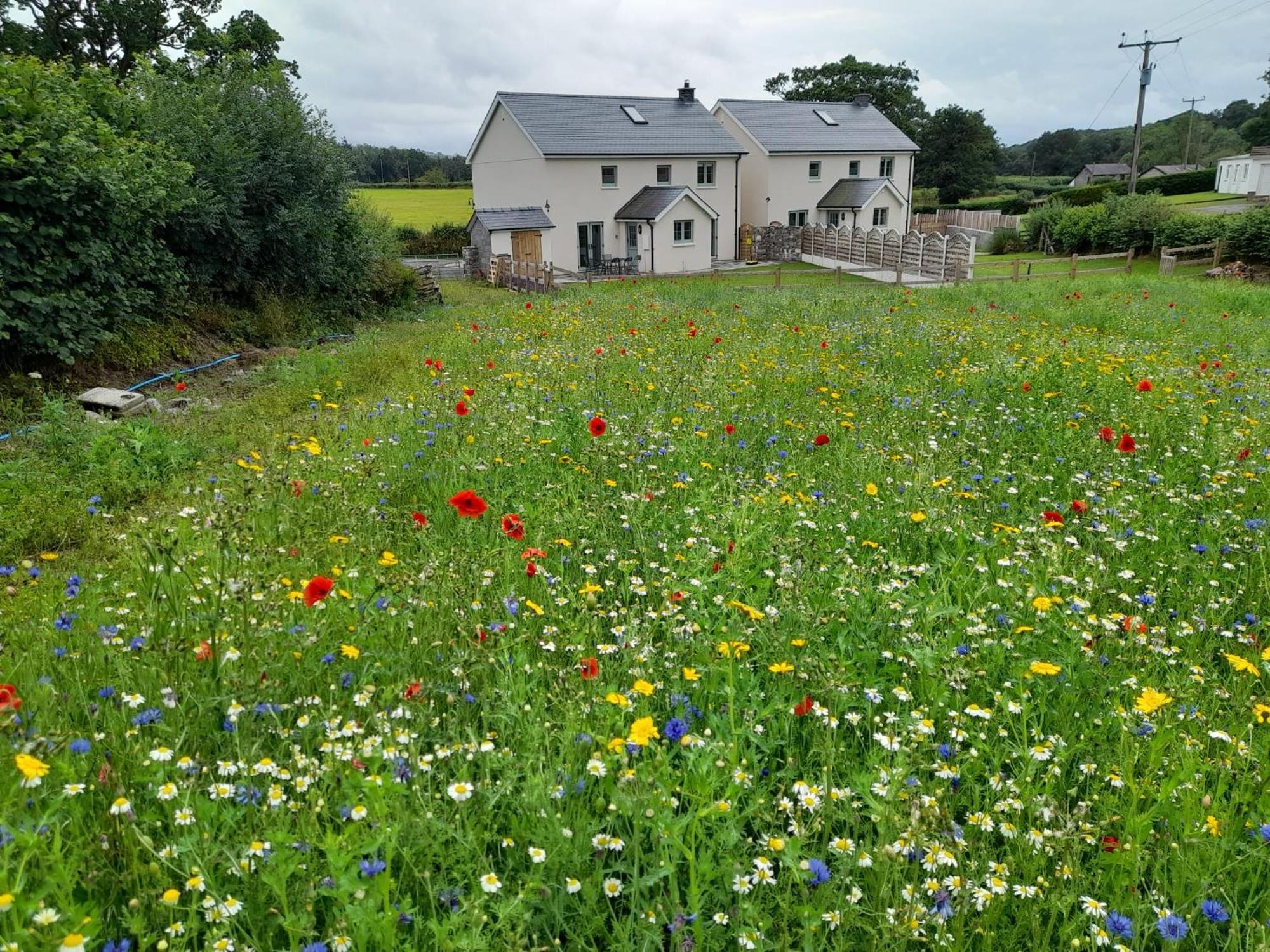 Family Country Cottage With Stunning Mountain Views Myddfai Extérieur photo